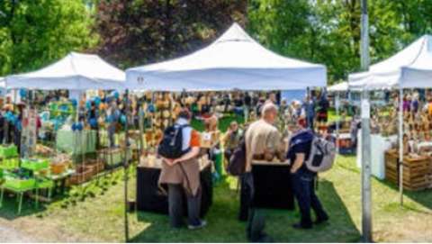 Lansing Fall Festival