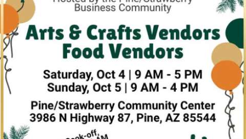 Fall Festival in Pine