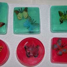 Butterfly Soap
