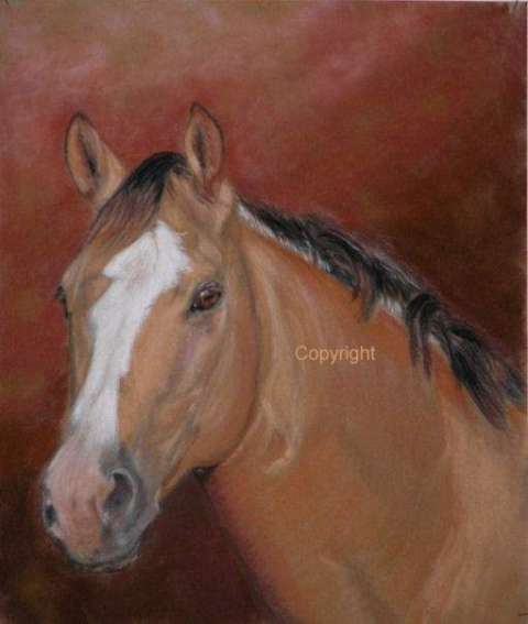 Mary E. Herbison Mary E. Herbison