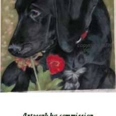 Sambeau "What's a flower?" copyrighted