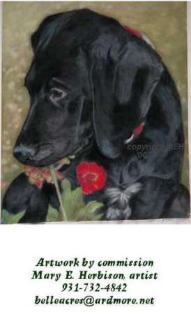 Sambeau "What's a flower?" copyrighted