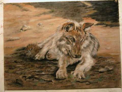 Inuk wolf pup tutorial of Vic Bearcroft