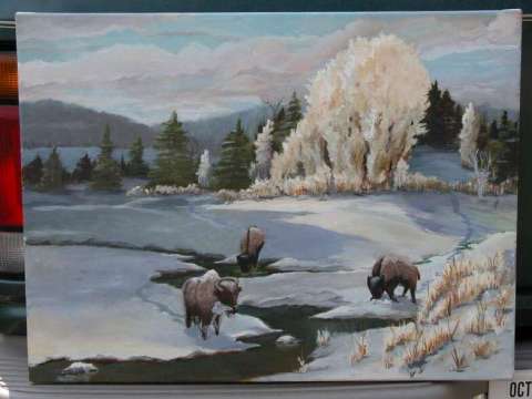 Teton Bison in oil copyrighted