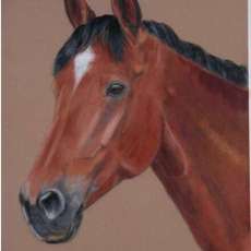 Warm Blood commission portrait