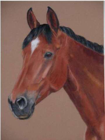 Warm Blood commission portrait