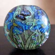  Gloden Iris Garden with butterfly