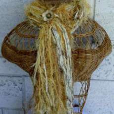 V-783 Amber Goldlash