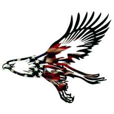 Flying American Eagle