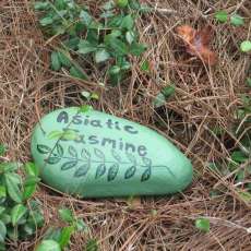 Hand Painted River Rocks