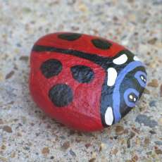 Hand Painted River Rocks