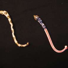 Hand Painted Raccoon Penis'