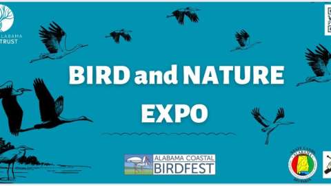 Bird & Conservation Expo