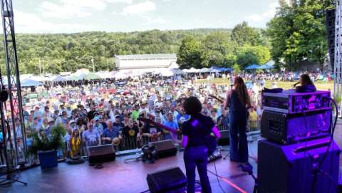 Chenango Blues Fest