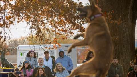 Waterfowl Festival