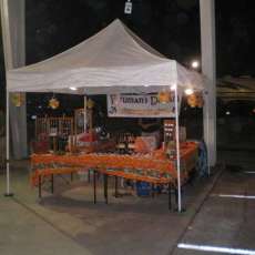 Elaine Richards-Arocha