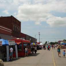 Vendors and Patrons on Old Settlers Day 2009