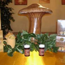 Gourmet Black Coffee, Gourmet Latte (w/cream & sugar)