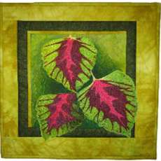 "Coleus Leaves" by Rebecca Kemble