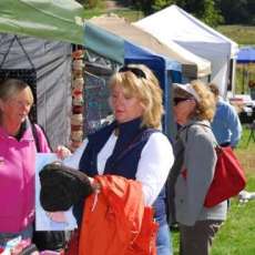 The Flowering of the Vines