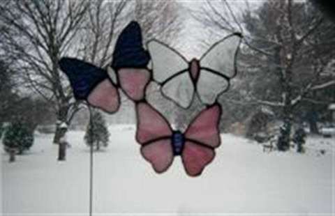 Butterflies