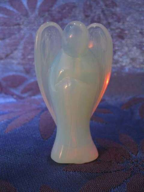 Lisa Angrisani Lisa Angrisani