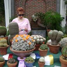 cacti show
