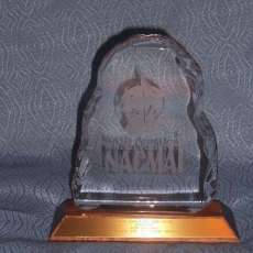 Video Award for "Beneath The Talmadge Bridge"