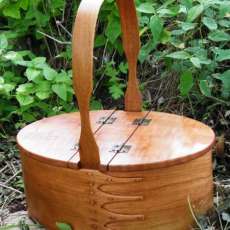 Hinged-Lid Shaker Carrier.  Lid easily removes to convert to a Fixed-Handle Carrier.