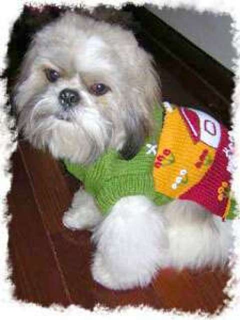 Margaret Blanco Margaret Blanco