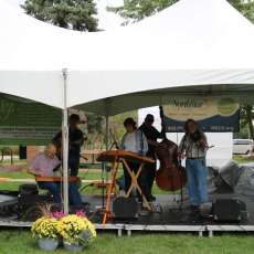 Musical Entertainment