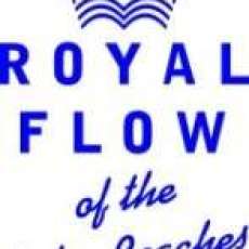 Cornelis Hoogerheide