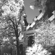 Dennis Lee Watterson