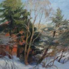 Snow Blankets the Wildlife Sanctuary