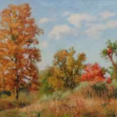 The Old Hickory Tree