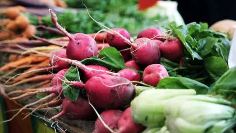 Port Coquitlam Farmers Market - June