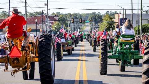 Georgia Peanut Festival