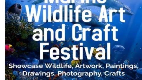 Marine Wildlife Art and Craft Festival