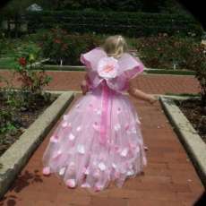 Fairy Princess Dress