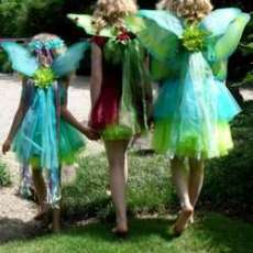 3 Fairies Out For A Walk