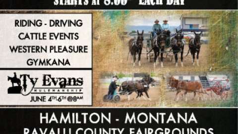 Montana Mule Days