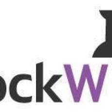 BlockWild Logo