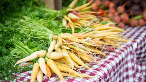 Perkasie Farmer's Market - July