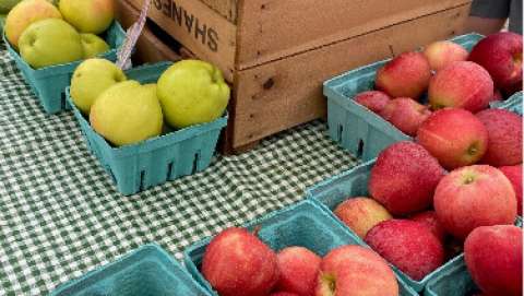 Perkasie Farmer's Market - August