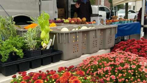 Perkasie Farmer's Market - September