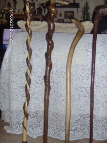 Walking Sticks & canes