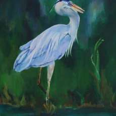 Blue Heron