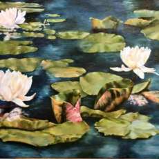 Lily Pond