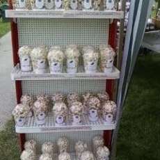 Fall Festival Seneca,IL 10/11/09