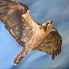 Flight of the Fisherman| Osprey